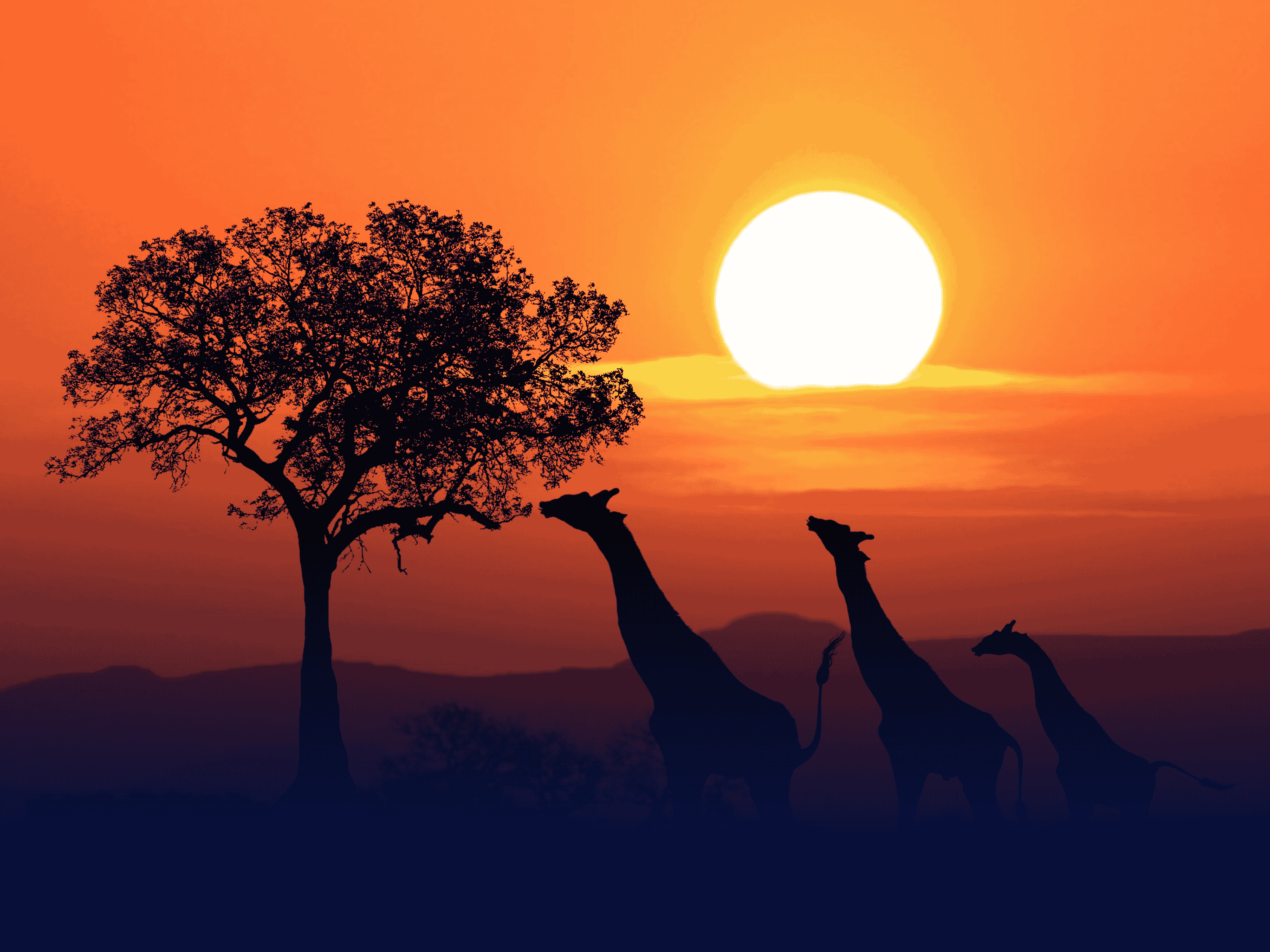 Afrika